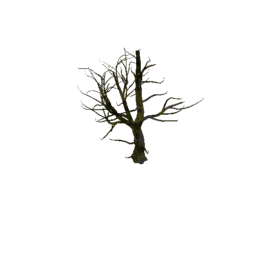 tree6_2_afsTREE_xao_xlprl (1)